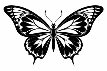 butterfly silhouette line art vector illustration