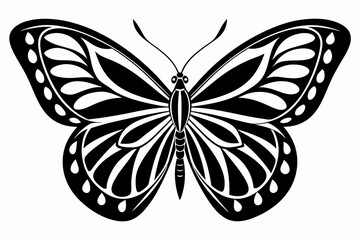butterfly silhouette line art vector illustration