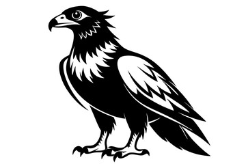 buzzard silhouette line art vector illustration