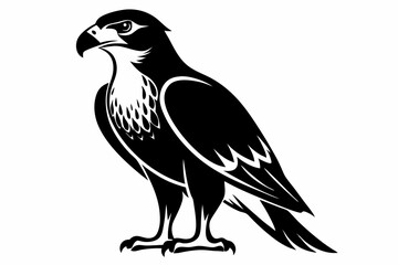 buzzard silhouette line art vector illustration