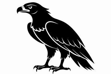 Obraz premium buzzard silhouette line art vector illustration