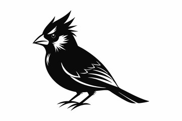 cardinal silhouette line art vector illustration