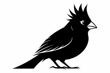 cardinal silhouette line art vector illustration