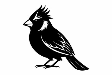 cardinal silhouette line art vector illustration