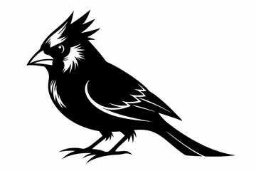 cardinal silhouette line art vector illustration