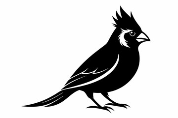 cardinal silhouette line art vector illustration