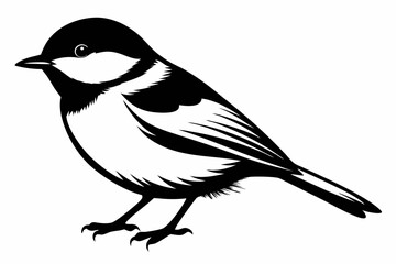 chickadee silhouette line art vector illustration