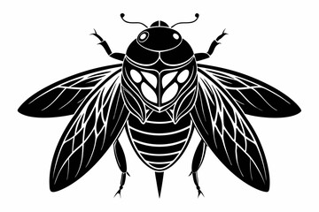 cicada silhouette line art vector illustration