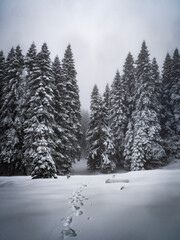 The view of winter on the snowy plateau