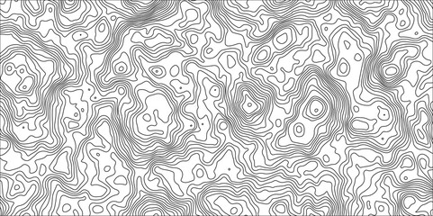 Vector grid map.Topographic contour map on white background.