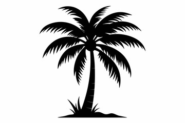 coconut tree silhouette line art vector illustration