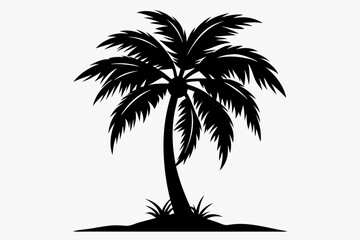 coconut tree silhouette line art vector illustration