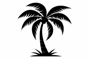 coconut tree silhouette line art vector illustration