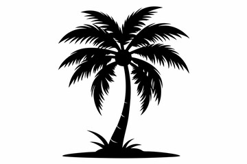coconut tree silhouette line art vector illustration