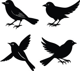 Set of Black birds silhouettes. Vector Elements for Design.