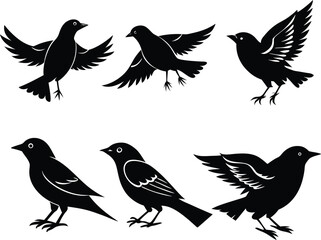 Set of Black birds silhouettes. Vector Elements for Design.
