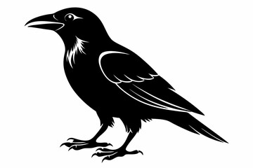 crow silhouette line art vector illustration