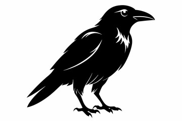 crow silhouette line art vector illustration