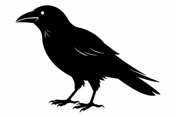 crow silhouette line art vector illustration