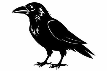 crow silhouette line art vector illustration