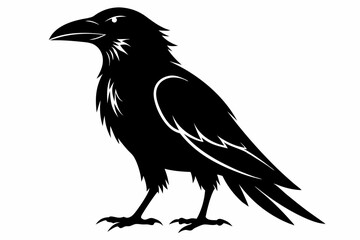 crow silhouette line art vector illustration