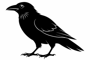 crow silhouette line art vector illustration
