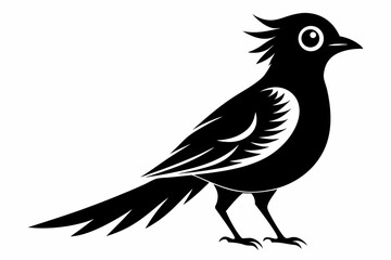 cuckoo silhouette line art vector illustration