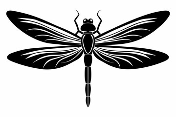dragonfly silhouette line art vector illustration