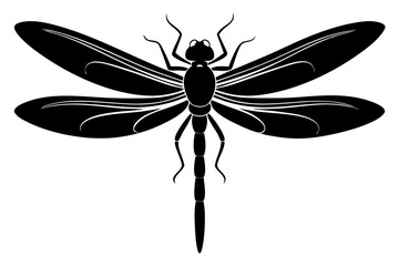 dragonfly silhouette line art vector illustration