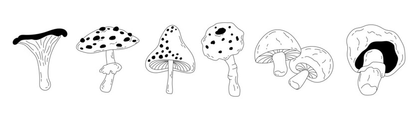 Set of different forest mushrooms drawn in doodle style. Seasonal autumn mushrooms chanterelle, pognanka, fly agaric in line art style. Vector illustration