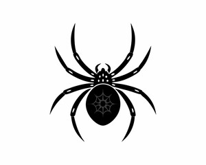 creative details Black Widow Spider Icon Vector Illustration