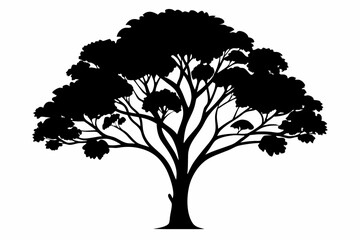 eucalyptus tree silhouette line art vector illustration © kanchanrani