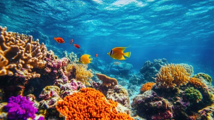 Fototapeta premium colorful fish swim in an array of colors and shapes