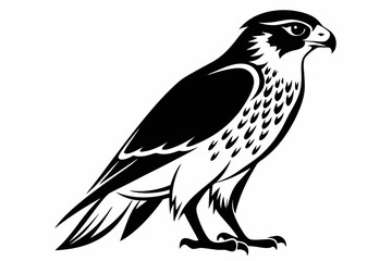falcon silhouette line art vector illustration