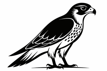 falcon silhouette line art vector illustration