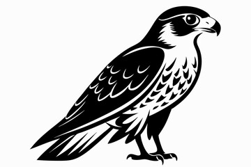 falcon silhouette line art vector illustration