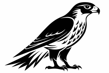 falcon silhouette line art vector illustration
