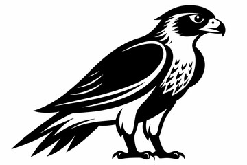 Fototapeta premium falcon silhouette line art vector illustration