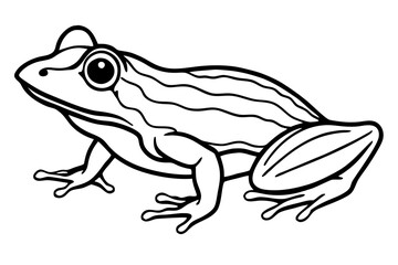 frog silhouette line art vector illustration