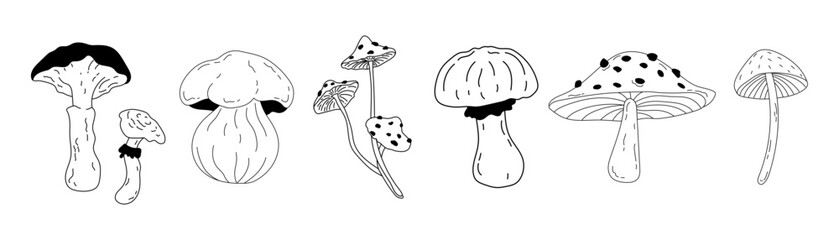 Set of different seasonal autumn mushrooms drawn in doodle style. Line art illustration of poisonous and edible mushrooms. Cute set for stickers, greeting cards templates.