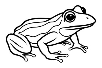 frog silhouette line art vector illustration