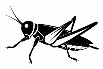 grasshopper silhouette line art vector illustration