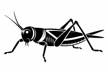 grasshopper silhouette line art vector illustration