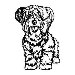 Maltese Lapdog Dog Breed - Pet Vector Cut file, Dog Silhouette Stencil - Cricut file