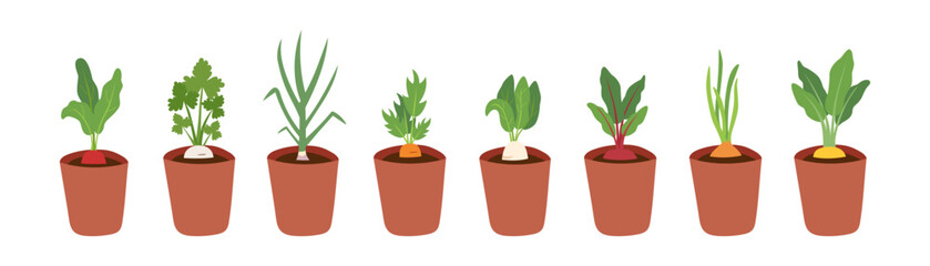 Gardening, spring, farming and home garden concept. Set of flowerpots with seedlings. Vector hand drawn cliparts isolated on white.