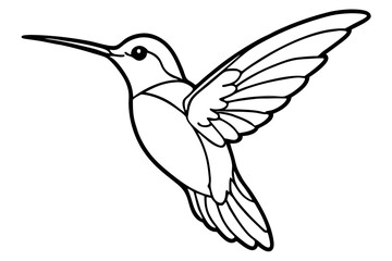 hummingbird silhouette line art vector illustration