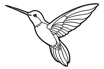 Obraz premium hummingbird silhouette line art vector illustration