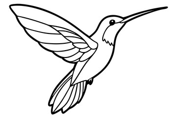hummingbird silhouette line art vector illustration