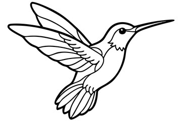 hummingbird silhouette line art vector illustration