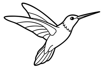 Obraz premium hummingbird silhouette line art vector illustration